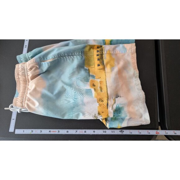 Scene & Heard Boys Swim Trunks Size 14/16 Pool Beach Vacation Landscape Colorful - Picture 8 of 9
